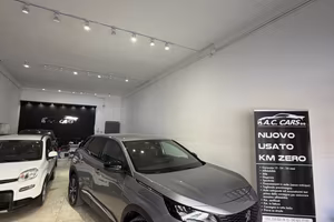 Peugeot 3008 BlueHDi 130 S&S EAT8 GT