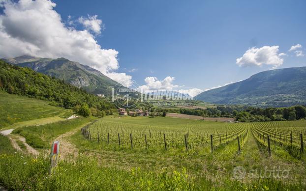 Tra natura, silenzio e comfort: ampio appartamento