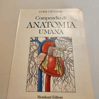 Compendio di anatomia umana - Cattaneo