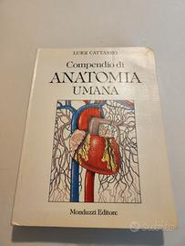 Compendio di anatomia umana - Cattaneo