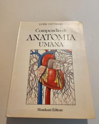 Compendio di anatomia umana - Cattaneo