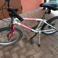 Mountain bike