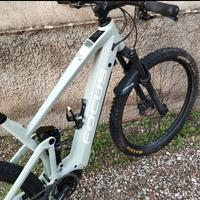 E-bike mod. FOCUS tg L