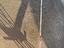 Immagine 5