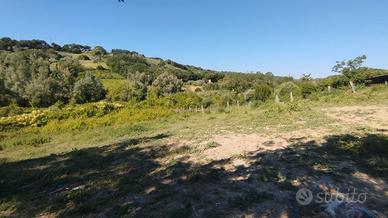 Irrigabile panoramico e tanta tranquillita'