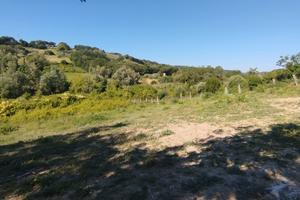 Irrigabile panoramico e tanta tranquillita'
