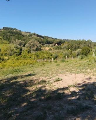 Irrigabile panoramico e tanta tranquillita'