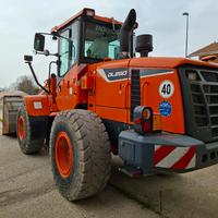 pala caricatrice DOOSAN DL250-5