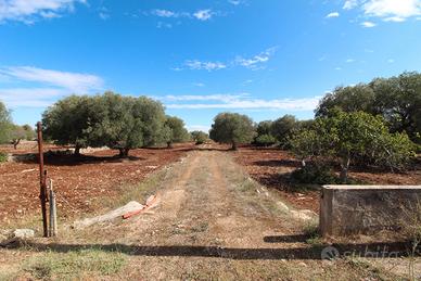 Terreno edificabile c.da Galeasi Grottaglie