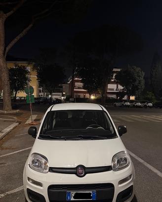 Fiat panda 2016