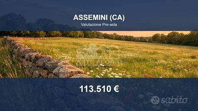 Immobile in asta di 47003 m² a Assemini