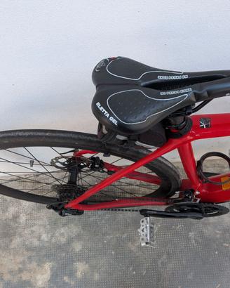 Bicicletta Focus Parlane 2