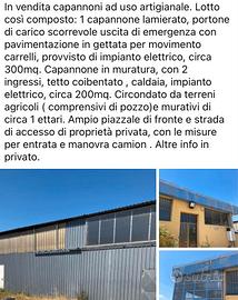 Capannoni artigianali