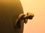 Immagine 6