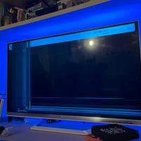 Tv LG 47" schermo rotto 