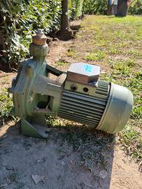 Pompa centrifuga Dab 2.5 hp 220/380