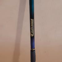 canna da pesca evoluzione 170 (italcanna)