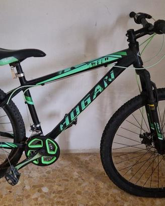 bicicletta