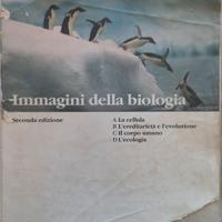 Immagini della biologia