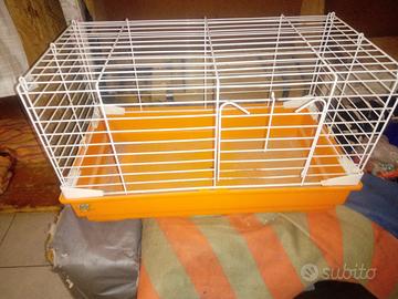 Gabbietta per criceto o meglio porcellino d 'india