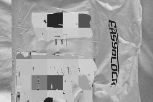 Lucchetto antifurto blacca ruota