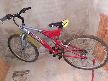 Bicicletta ragazzo