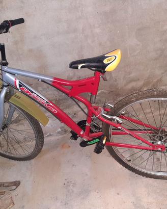 Bicicletta ragazzo