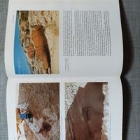 Le grandi civiltà del Sahara antico