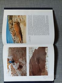 Le grandi civiltà del Sahara antico