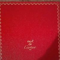 Foulard cartier muovo molto particolare