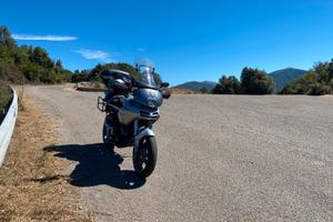 Ducati Multistrada DS 1000