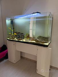 Acquario 300 litri