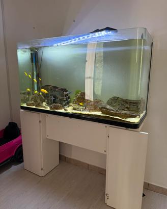 Acquario 300 litri