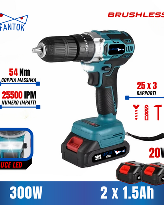 Avvitatore Trapano a Percussione Batteria 20V 54Nm