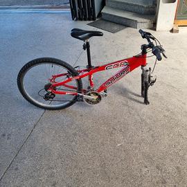 bicicletta ragazzo
