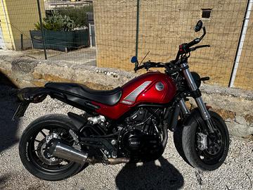 Benelli leoncino 500 2023