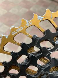 Pacco pignoni leonardi racing