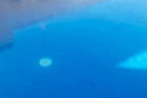 Piscina per ferragosto