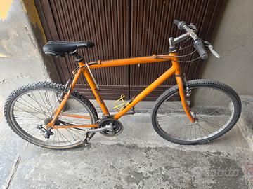 mountain bike 