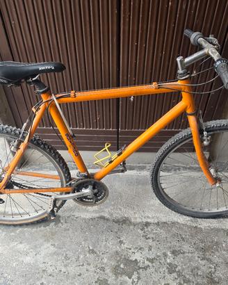 mountain bike 