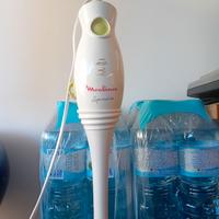 Frullatore ad immersione