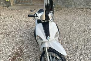 liberty moc 2010 50cc