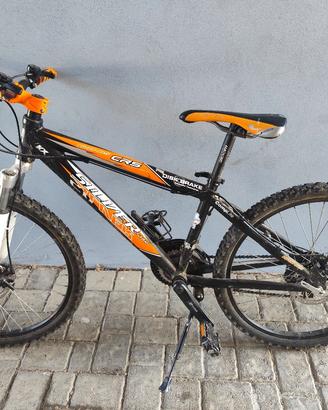 bicicletta per ragazzo
