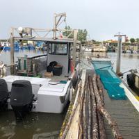 Barca pesca turismo vongole