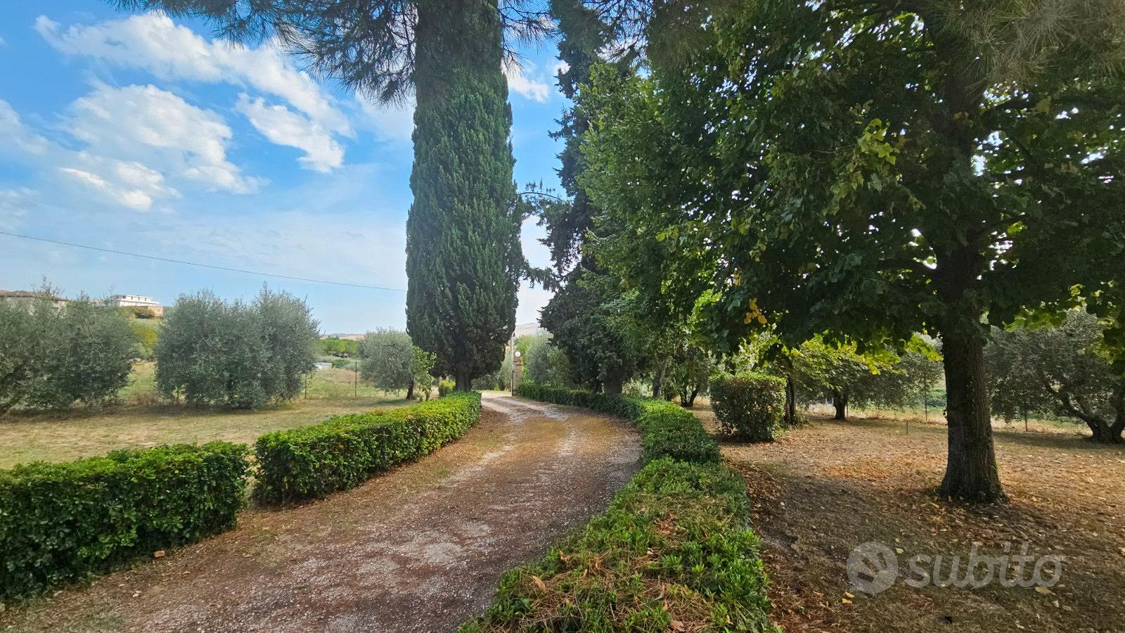 Casolare di campagna con ampio giardino - Vista 2