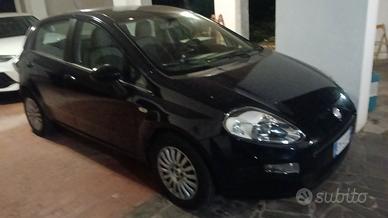 fiat punto 