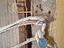 Immagine 6