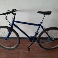 bici mountain-bike