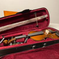 Violino