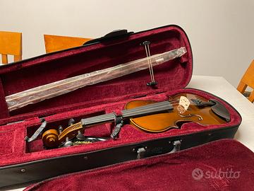 Violino